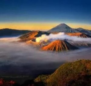 whatsapp image 2025 07 15 at 16.00.09 (1)