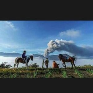 whatsapp image 2025 07 15 at 16.00.10