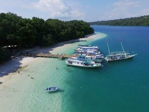 whatsapp image 2025 07 15 at 16.00.14